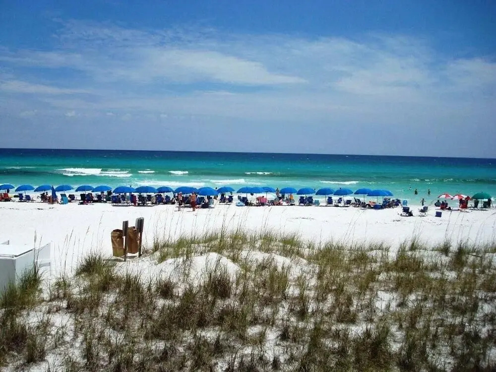Seas The Day at Emerald Shores - 150497