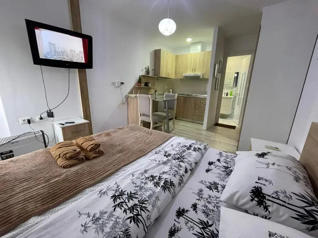 Downtown Modern Studio Apartment