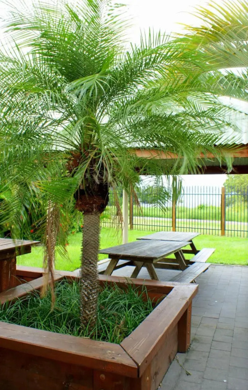 Wongai Beach Hotel