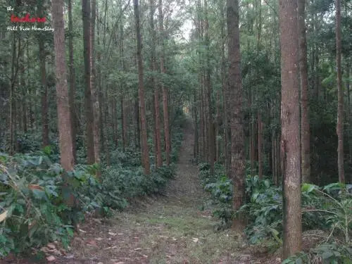 The Inchara Hill View HomeStay