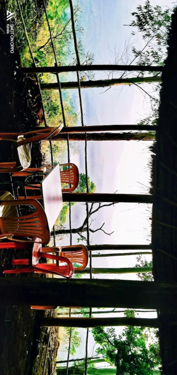 Munnar Jungle Camp