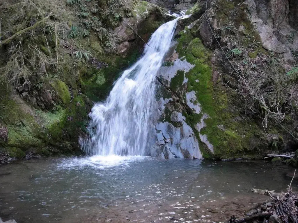 Mas rural El Negre