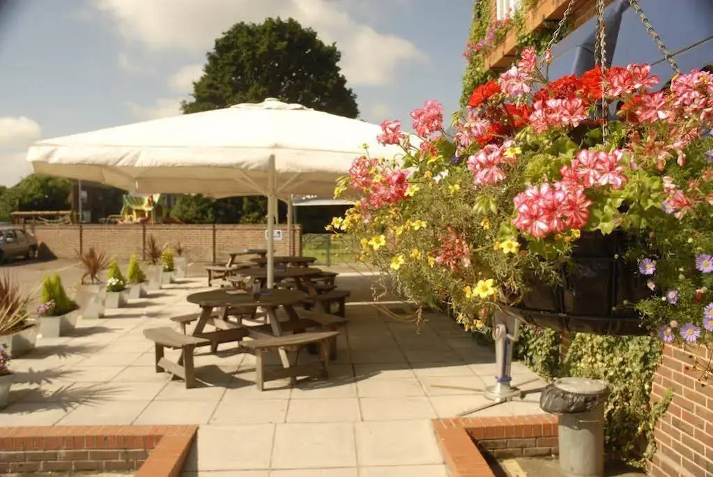 Blue Boar Inn