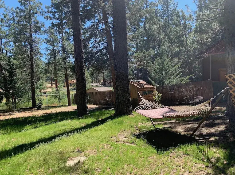 Little Big Pine