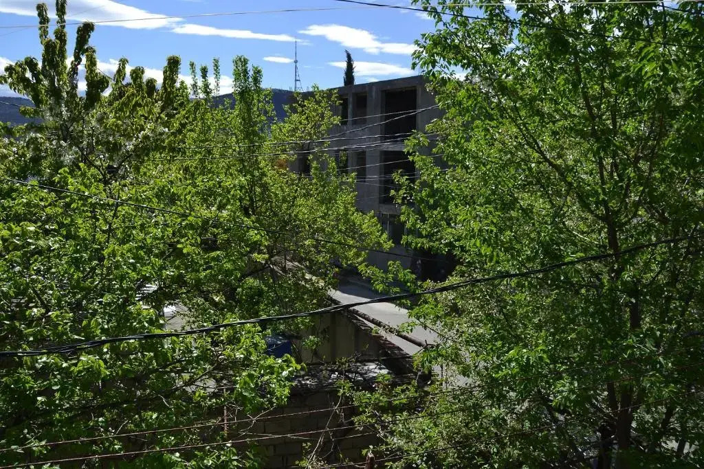 Apartament Elene
