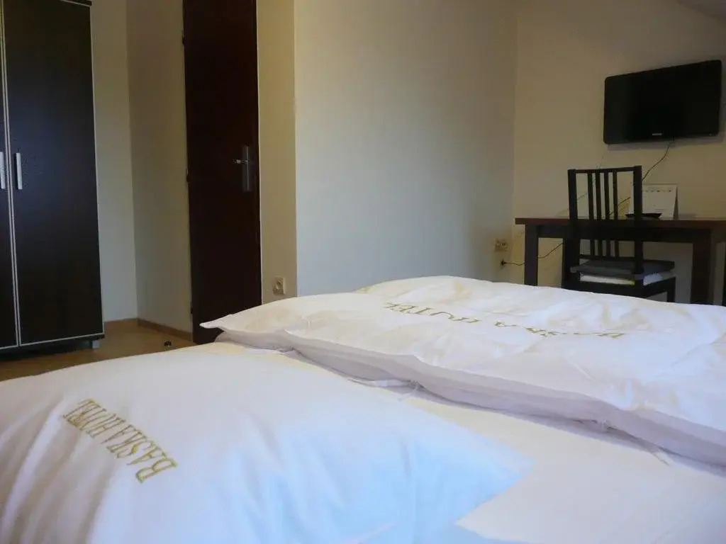 Hotel Pod Zelenou