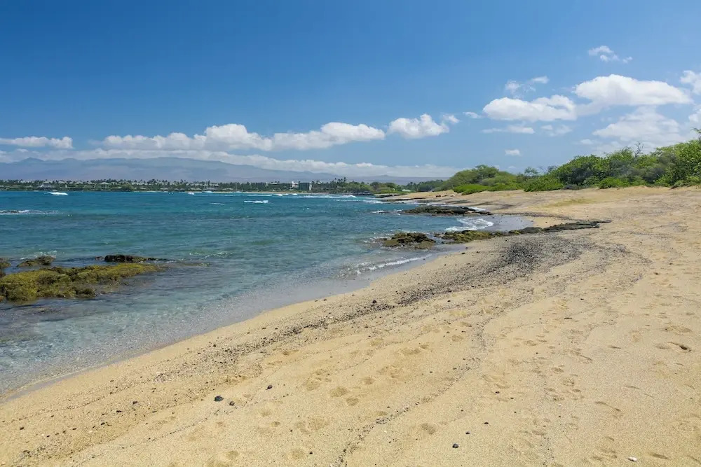Hilton Pool Pass Included, Kolea - Luxe Penthouse, Walk to Beach