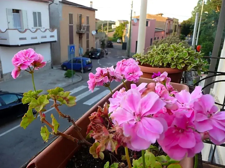 B&B Tredomus