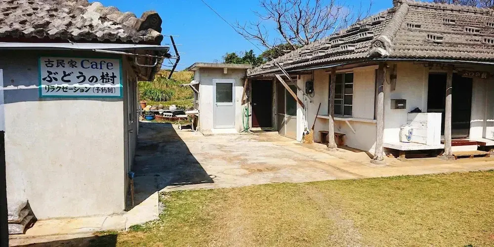 KOURIJIMA Budonoki