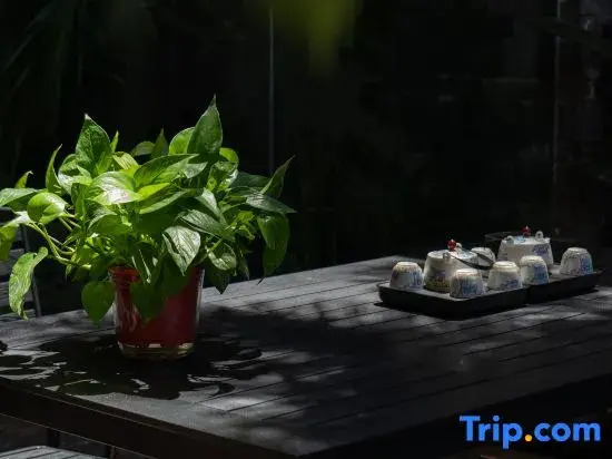 Taoyuanju·Shizishan All-Night View·Stargazing Terrace Scenic Homestay (Dashuiche Branch)