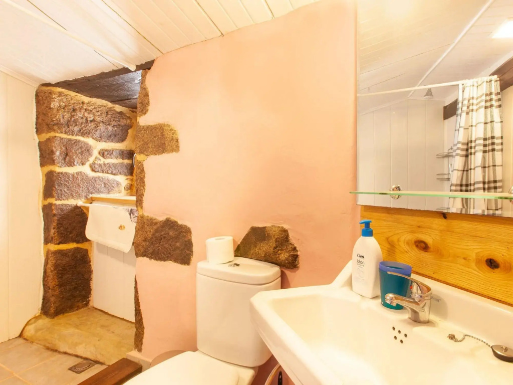 Traditional Apartment in Ribeira Sacra with Garden