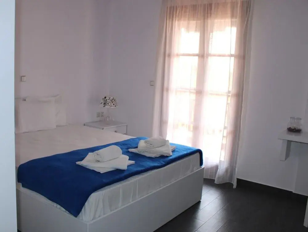 Hotel Theopisti