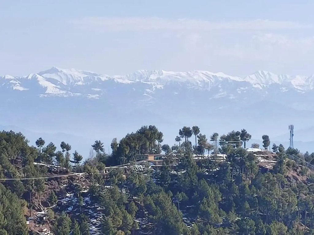 Murree home Gharial camp