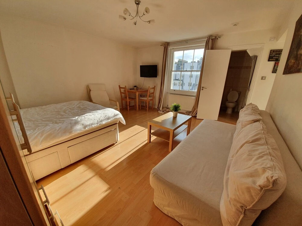 Studio Apartment in South Kensington 12
