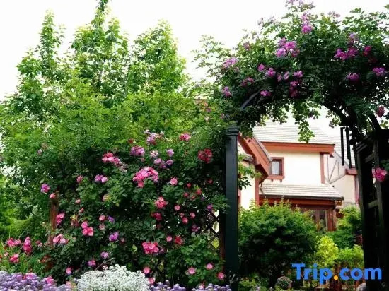 Sansan Guyu Homestay (Orenda Original Country American)