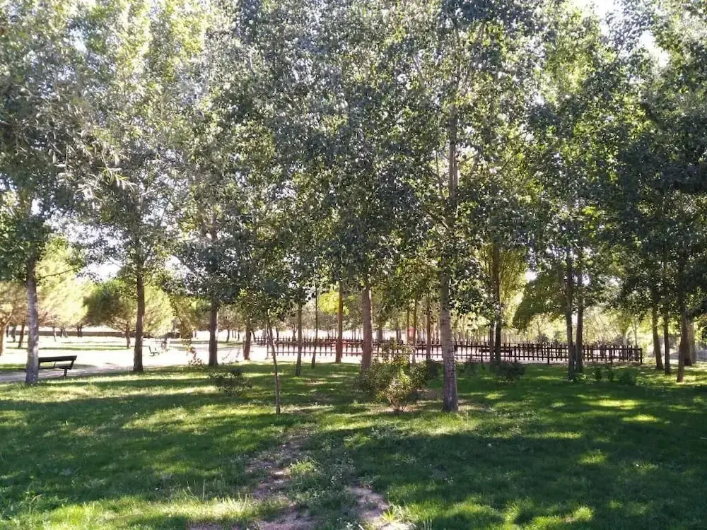 Zamora Apartments