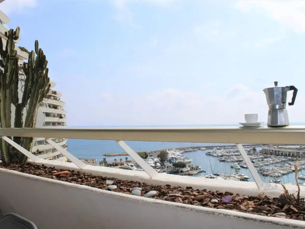 Appartement Villeneuve-Loubet, 1 pièce, 4 personnes - FR-1-252A-17