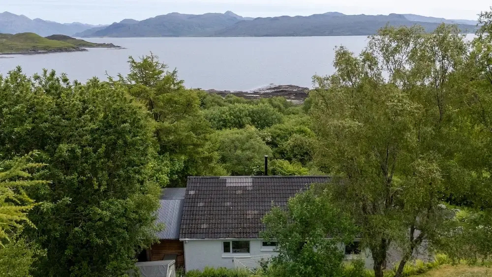 The Lookout
