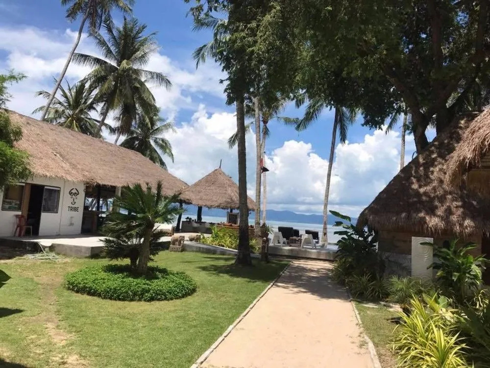 Wild Wood x Hansa Beach Fitness Resort
