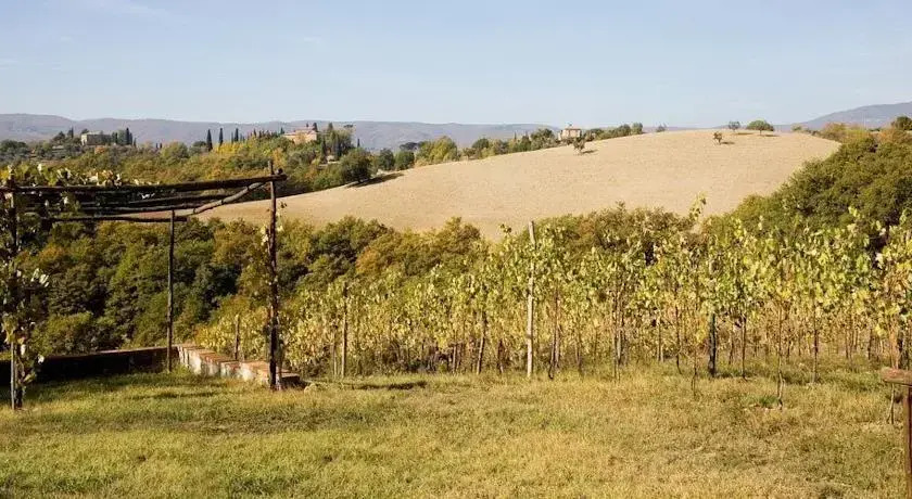 Le Ghiandaie