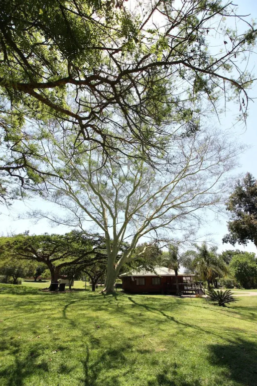 Asante Sana Holiday Village