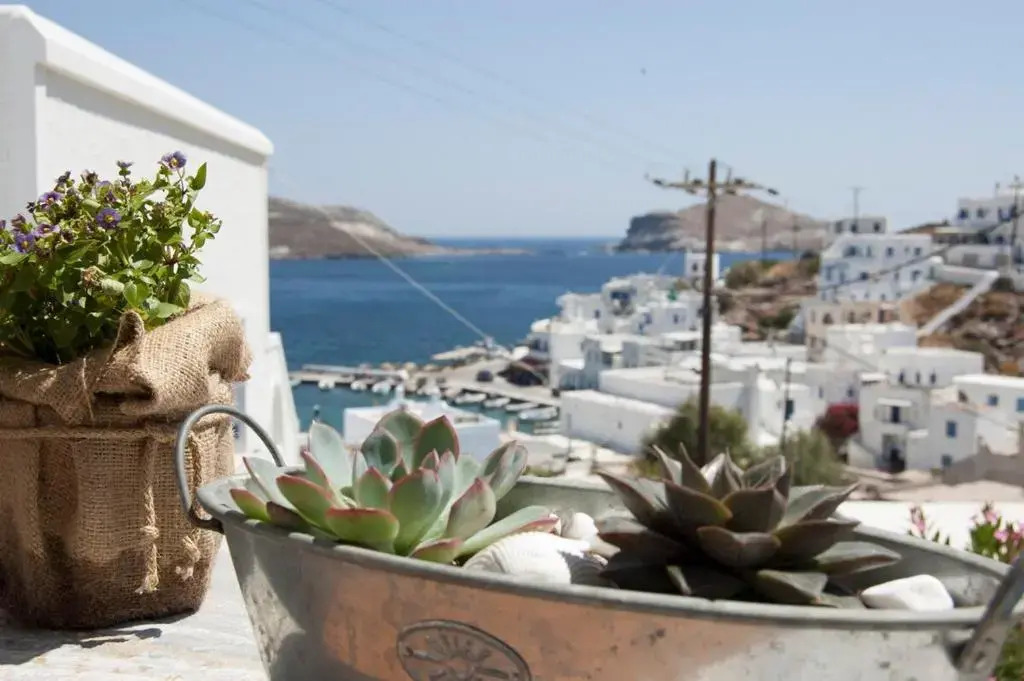 Panormos Villa Tinos Greece - Traditional House