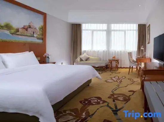 Vienna International Hotel Yi Yang High tech Zone High speed Railway South Station Branch