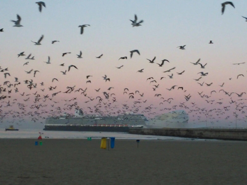 Hotel Amadeos - Matosinhos - Porto