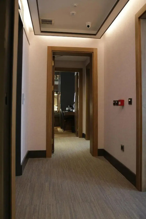 Levni Plus Hotel