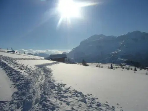 Residence Vajolet San Cassiano