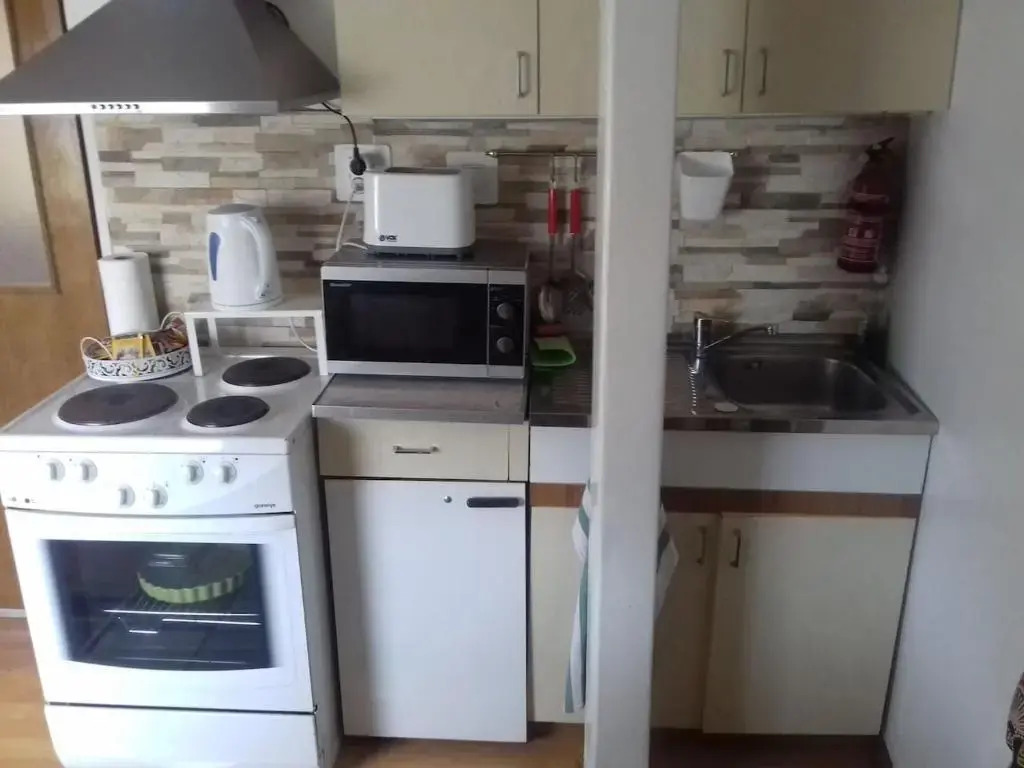 APARTMENT " Studio Green "