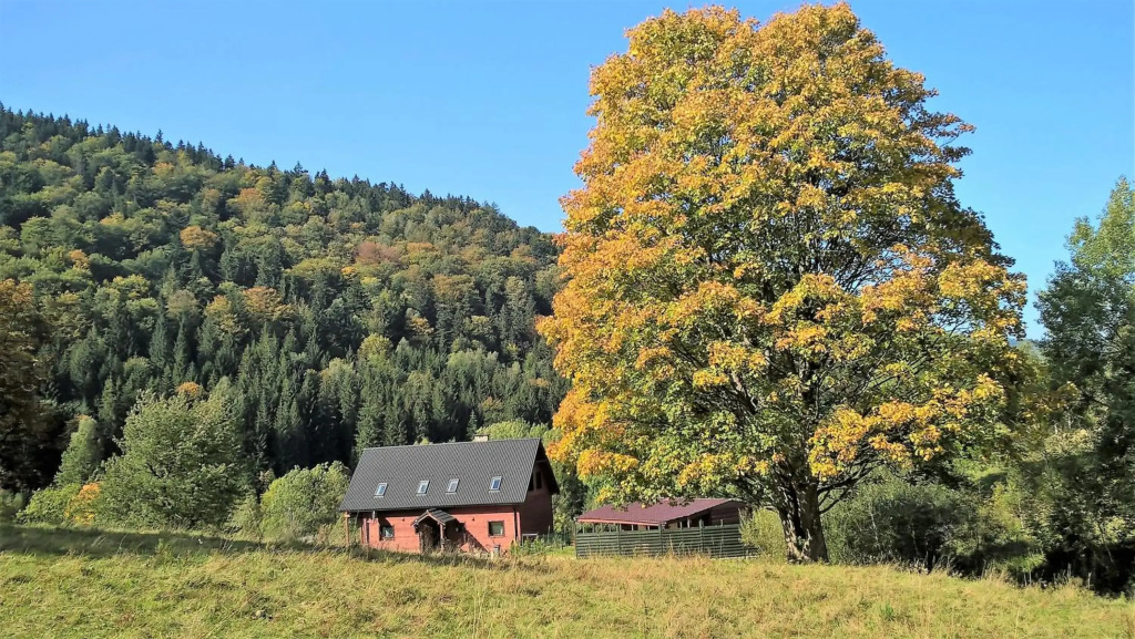 Królikówka
