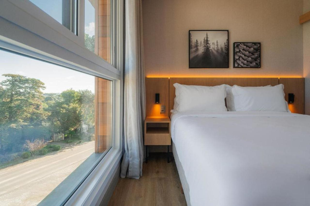Golden Tulip Canela
