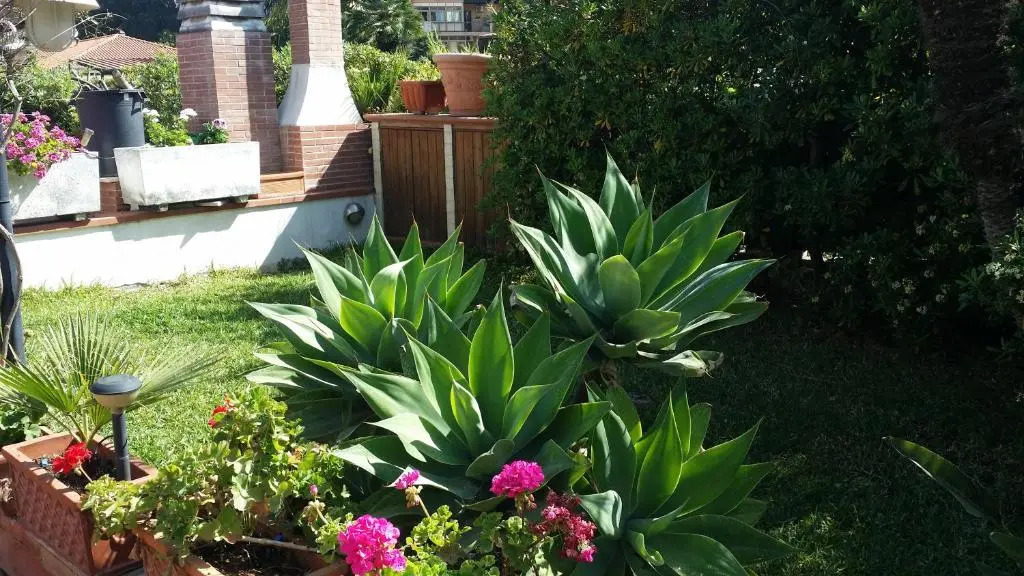 A Real Oasis In The City,