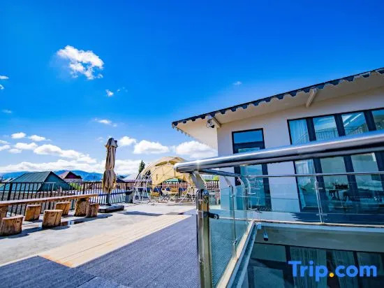 Turks Flip Pigeon Homestay