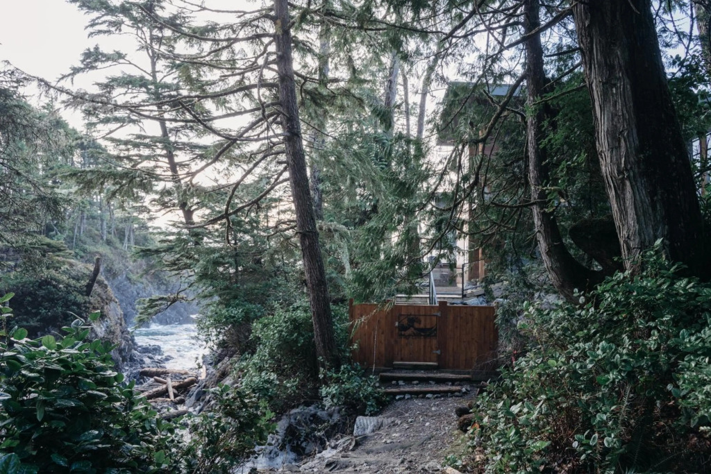 Storm Cove Suites