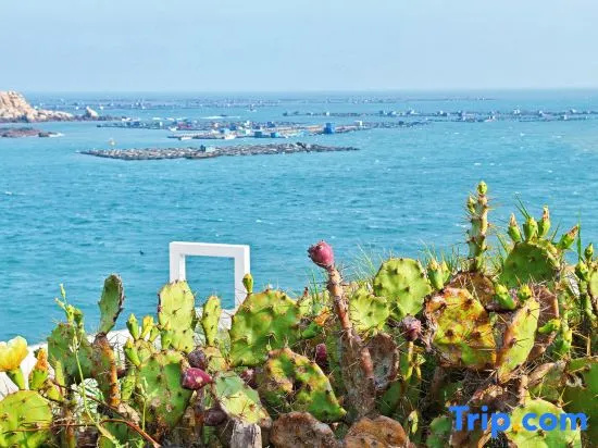 Pingtan Mo Cliff Seaview Homestay
