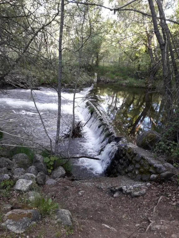 Zaguan
