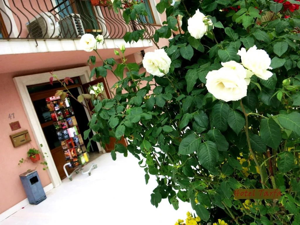 Hotel Tarfa