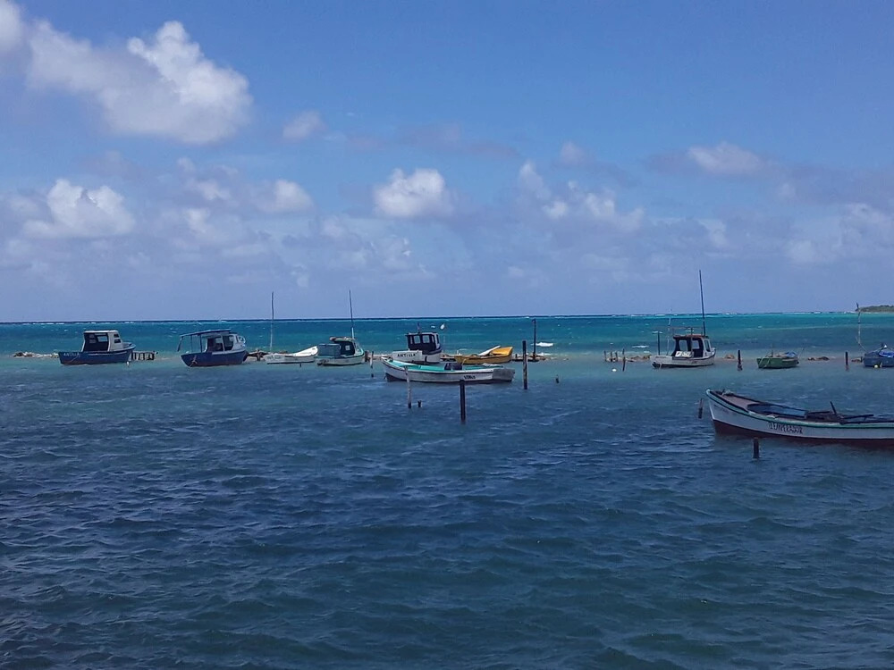 La Cabaña