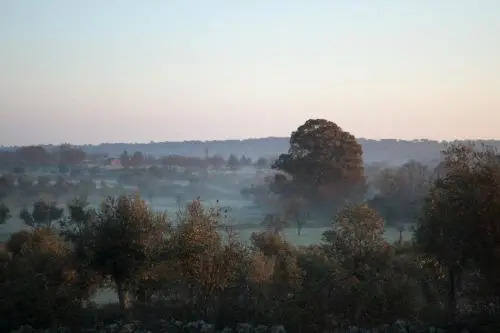 Quinta Serra De Sao Mamede