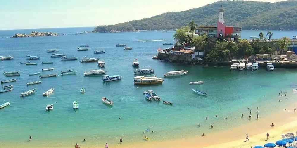 Acapulco Amor