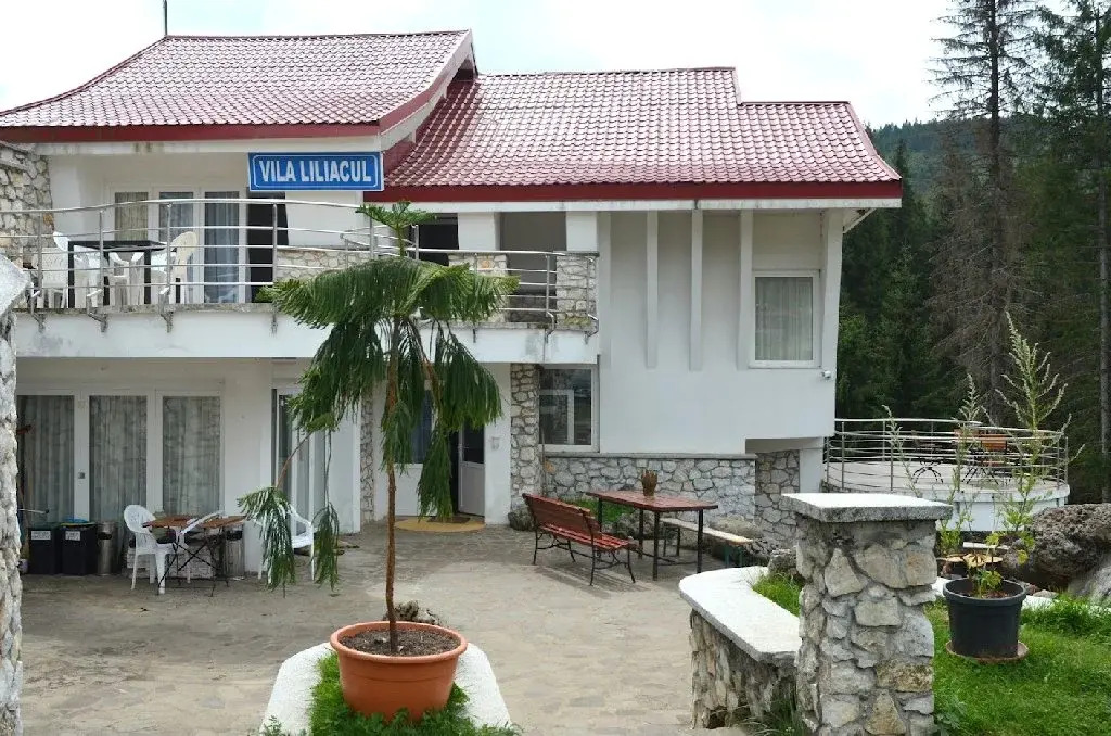Vila Liliacul