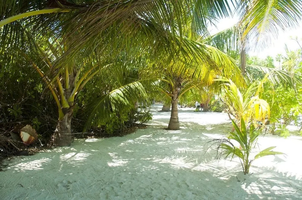 Palm Garden