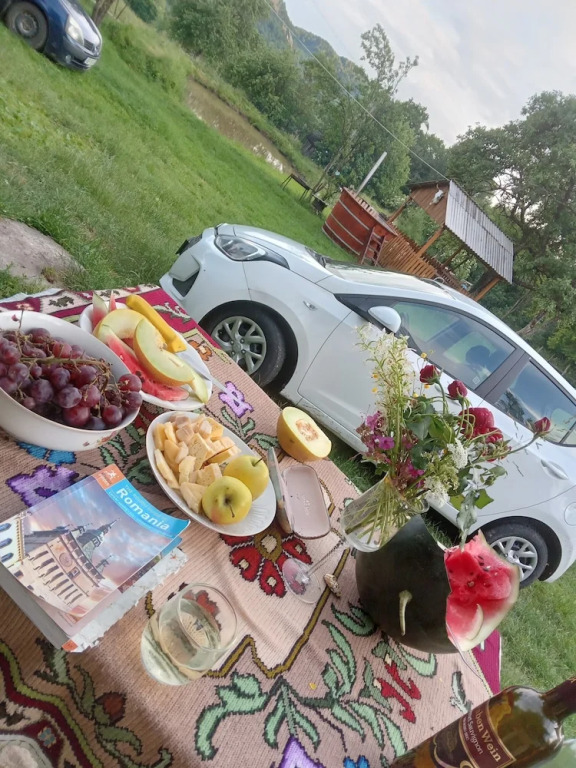 Room in Guest Room - Rural Holiday Transylvania