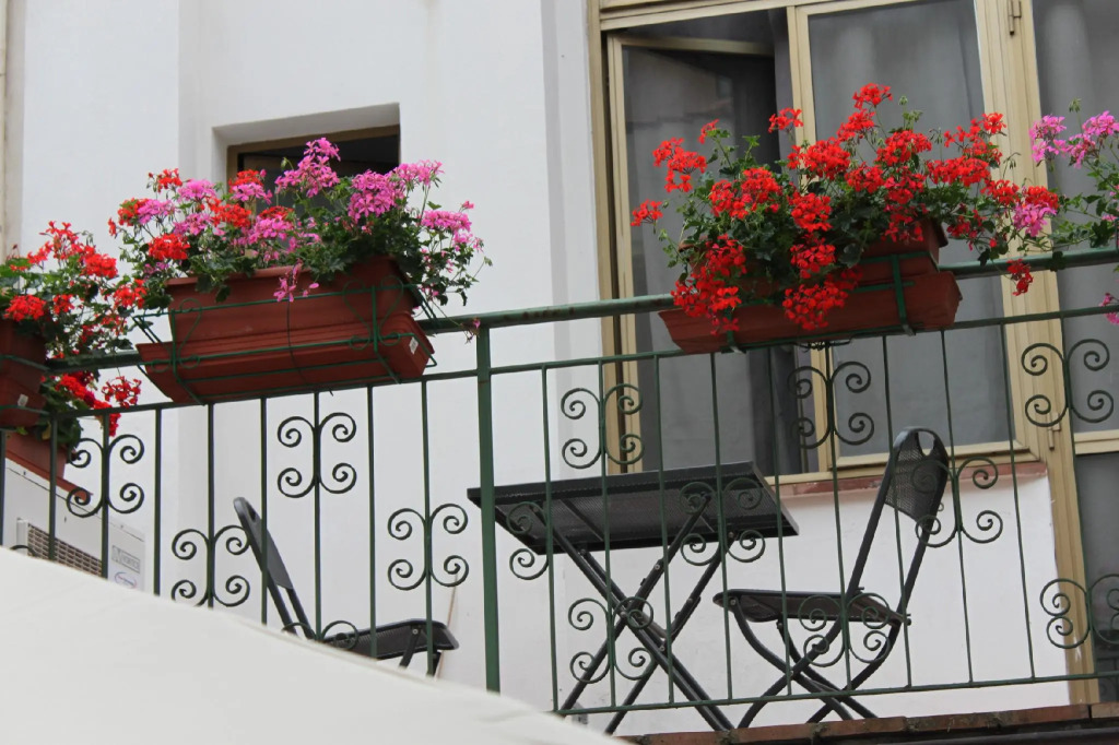 Hotel Dalmazia