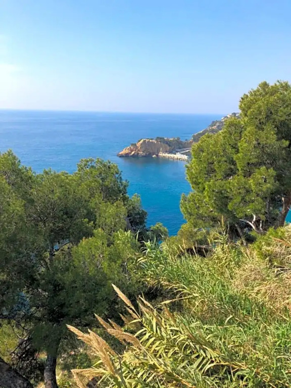 Les terrasses des Anthenors
