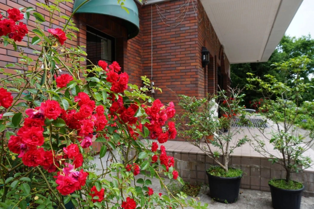 Hakuba High Mount Hotel