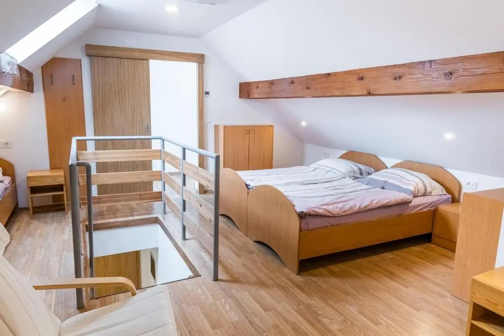 Apartments Skok with rafting and free parking