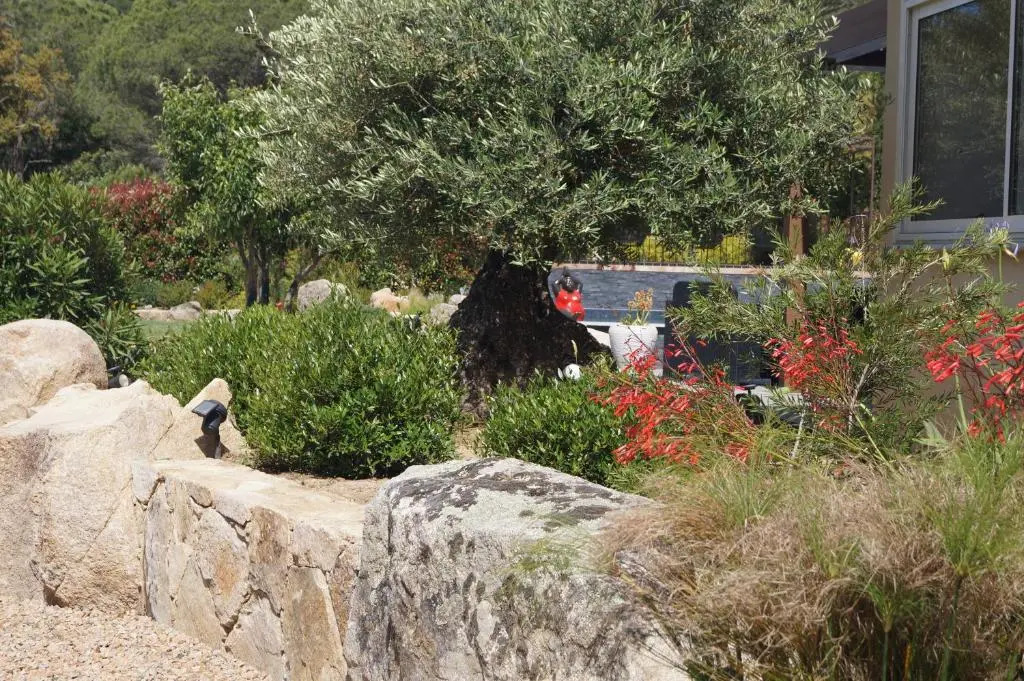Les Jardins De Santa Giulia - Charmante chambre dhte 2